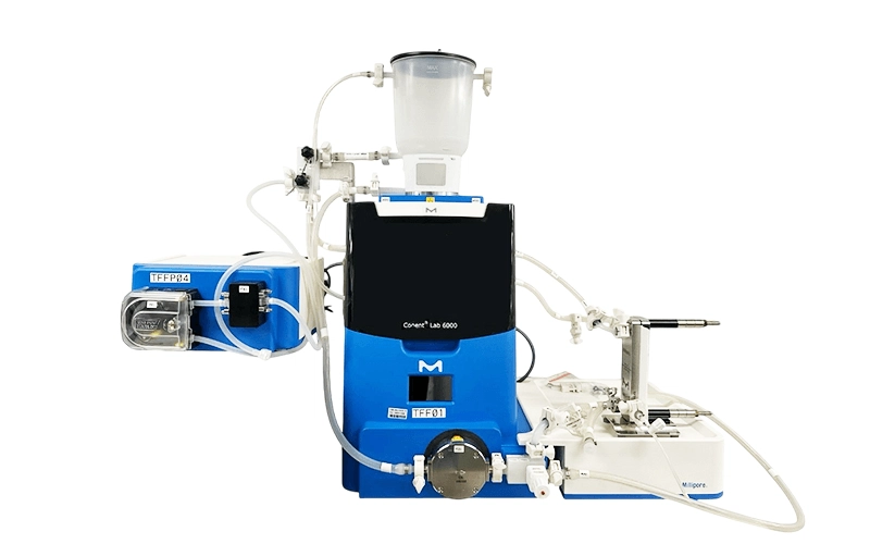 Chicago Site Chicago Site